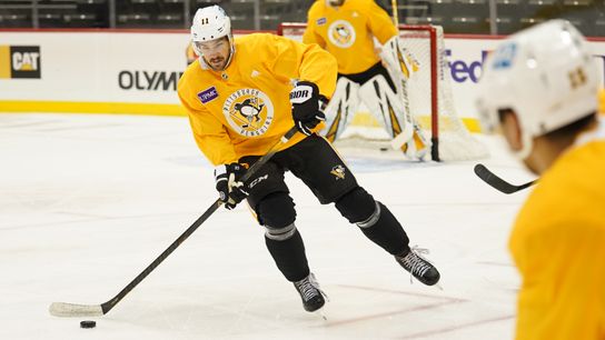 Angello, Gaudreau bring energy back down to Wilkes-Barre taken at PPG Paints Arena (Penguins)